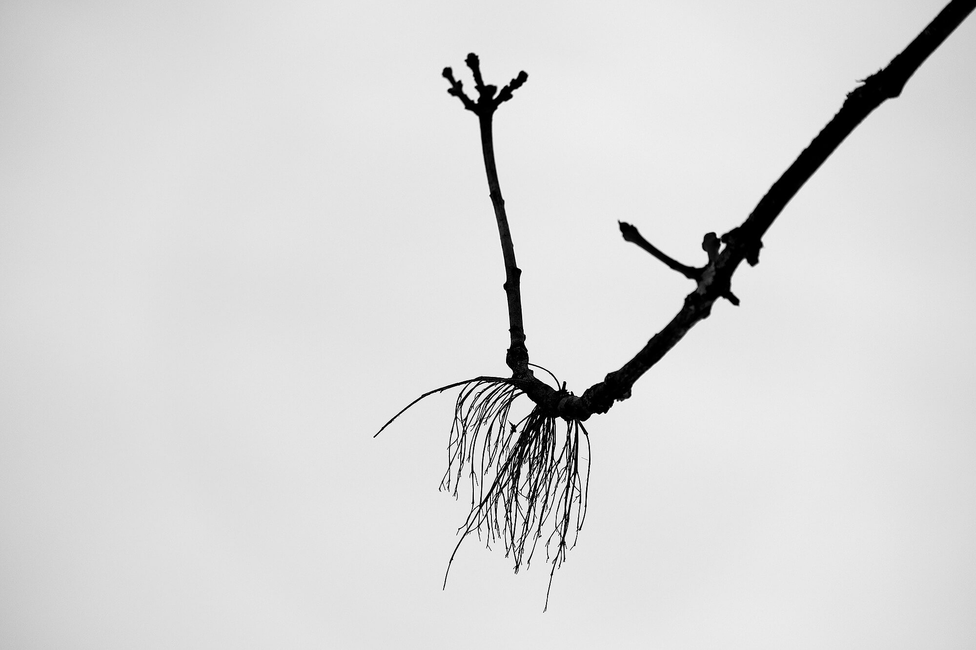 Minimalistische Fotografie 2